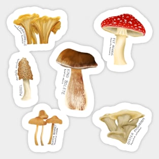 Fungus Among Us Sticker